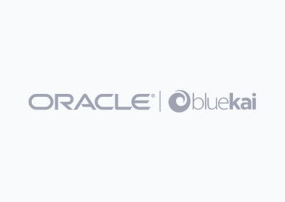 Oracle BlueKai